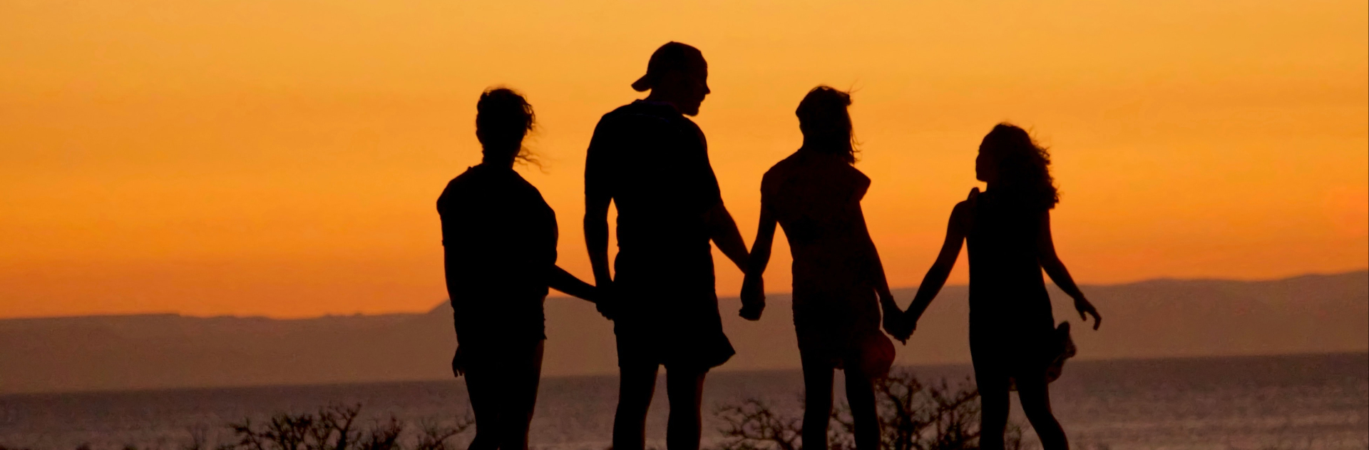 banner image